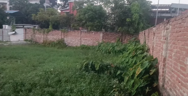    কুষ্টিয়া শহরের মঙ্গলবাড়ীয়া বাজারের পাশে ১৮ ফিট রাস্তার সাথে ১০ কাঠা জায়গা বিক্রি হবে 