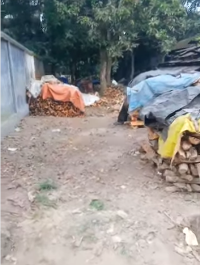 সিরাজগঞ্জ বেলকুচি পৌরসভার মুকুন্দগাতি ৮ শতাংশ জায়গা বিক্রি হবে — photo 3