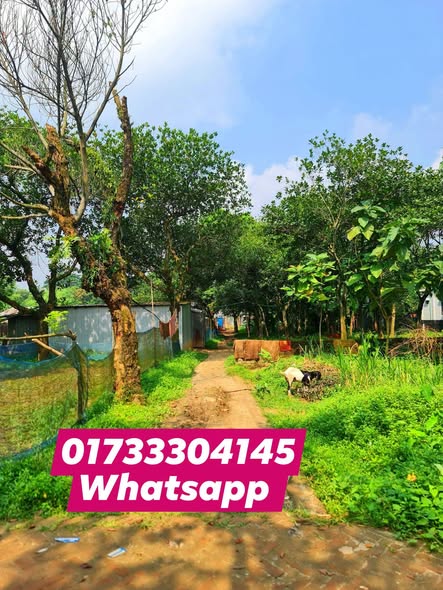 সাভার বিরুলিয়া কমলাপুর এলাকায় ২.৩০ শতক জায়গা বিক্রি হবে 