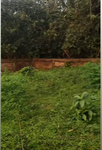 গাজীপুর সিটি কর্পোরেশন ভিতরে মারিয়ালী স্কুলের পিছনে ৬ কাঠা জমি বিক্রি হবে